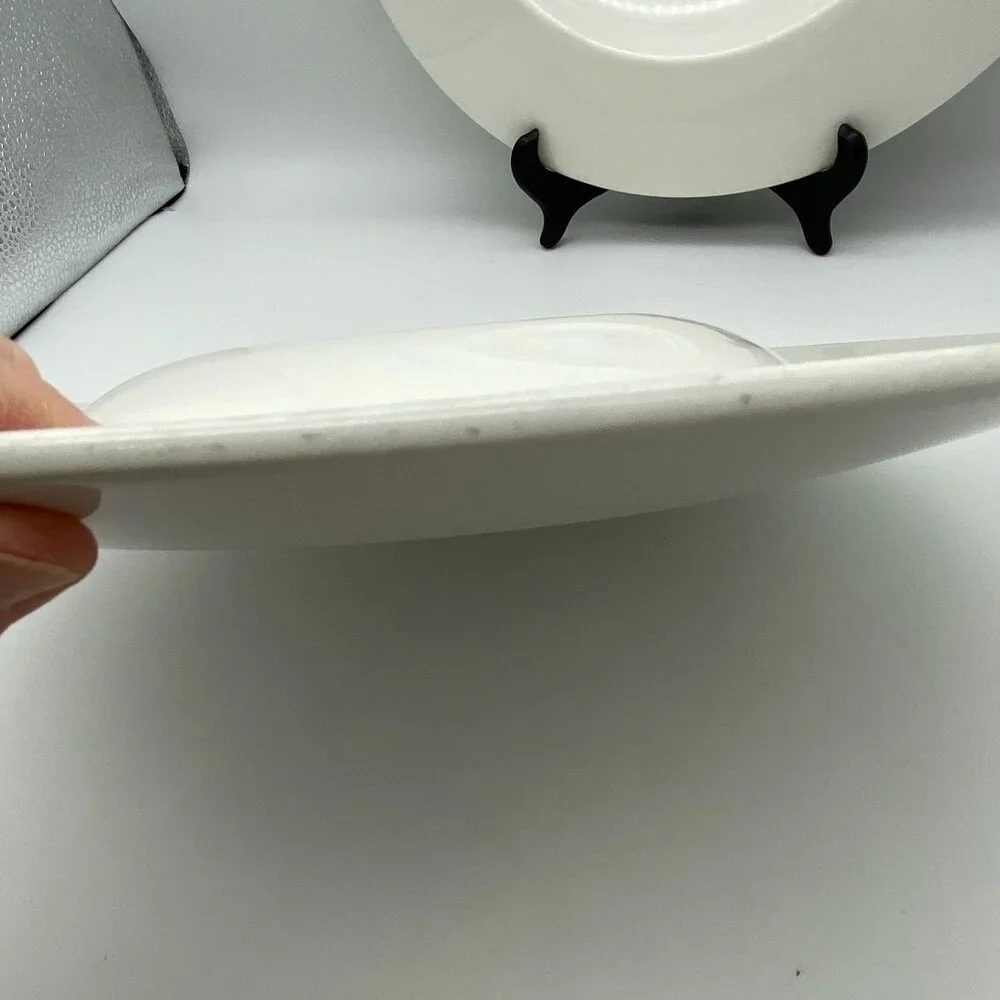Steelite Distinction Float White wide rim soup pasta Bowl minimalist 19oz‎